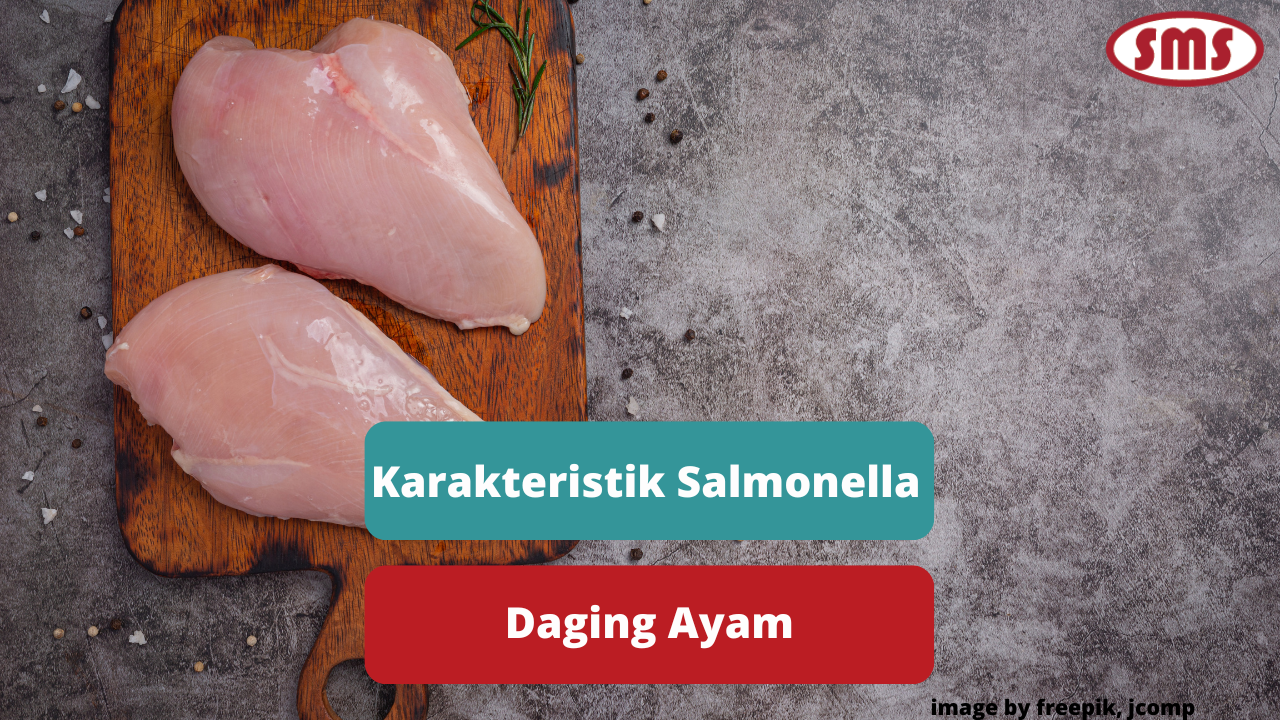 Berikut Ini Penjelasan Karakteristik Bakteri Salmonella Pada Daging Ayam